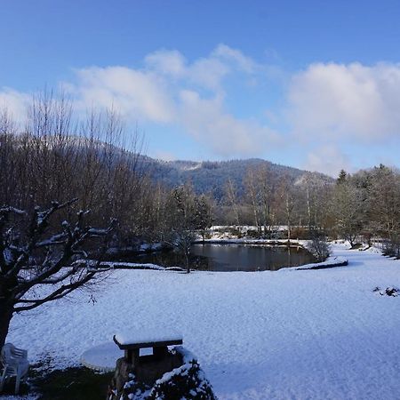 La Maison Et L'Etang - Grand Terrain Prive Vagney Exterior foto