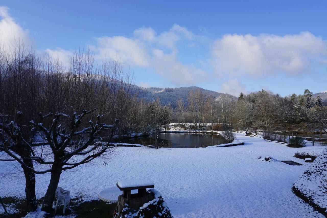 La Maison Et L'Etang - Grand Terrain Prive Vagney Exterior foto